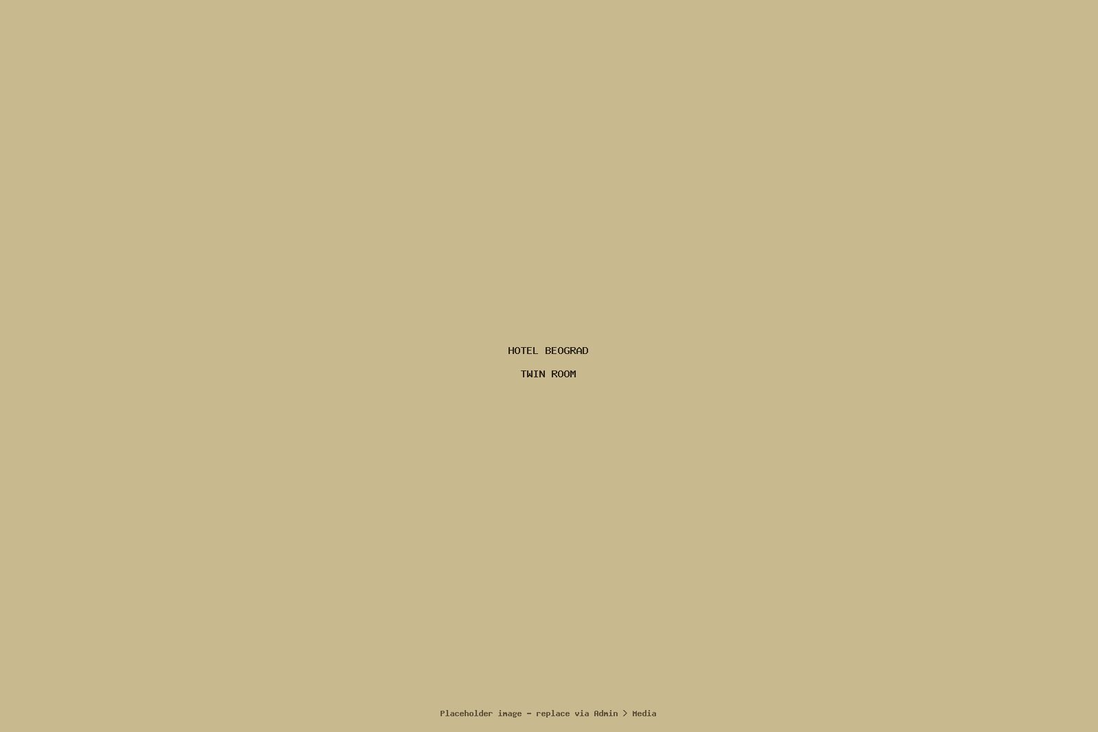 Twin Room (placeholder — replace with an actual hotel photograph)