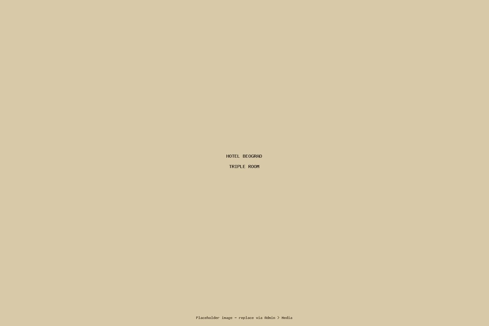 Triple Room (placeholder — replace with an actual hotel photograph)